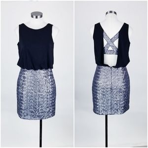 Aiden Dress Size 4 Black with Silver Sequin